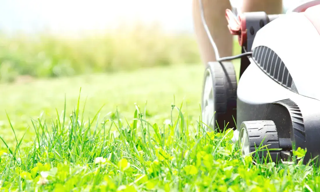 地域密着の信頼