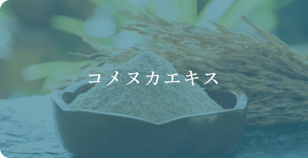 コメヌカエキス