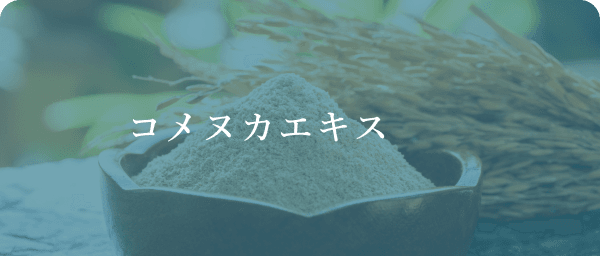 コメヌカエキス