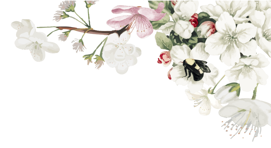 花のイラスト