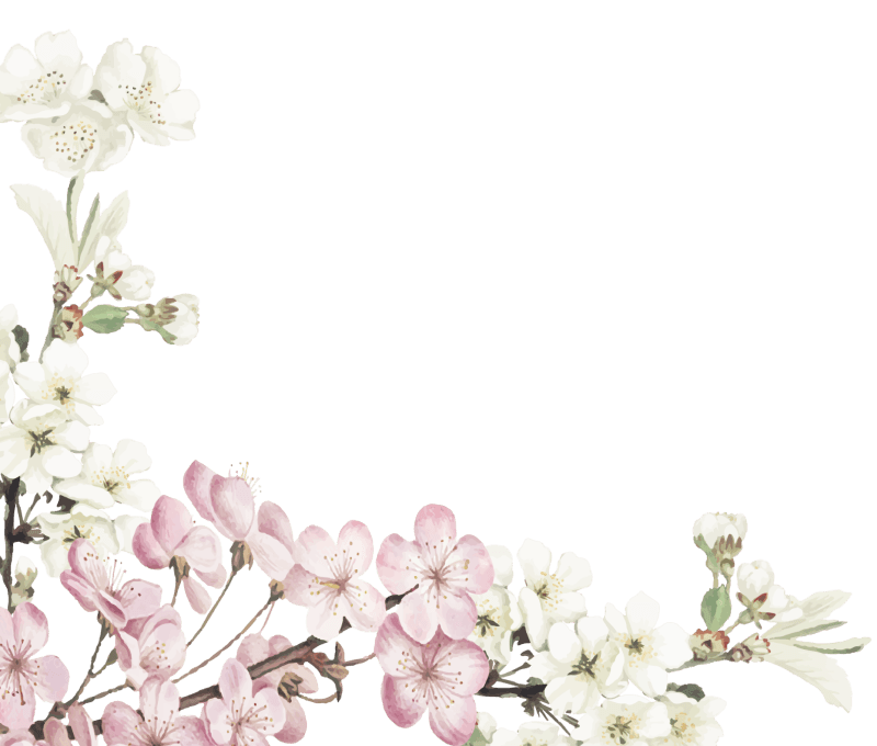 花のイラスト