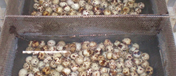 独自の河北製法で「日持ち」と「品質」を両立