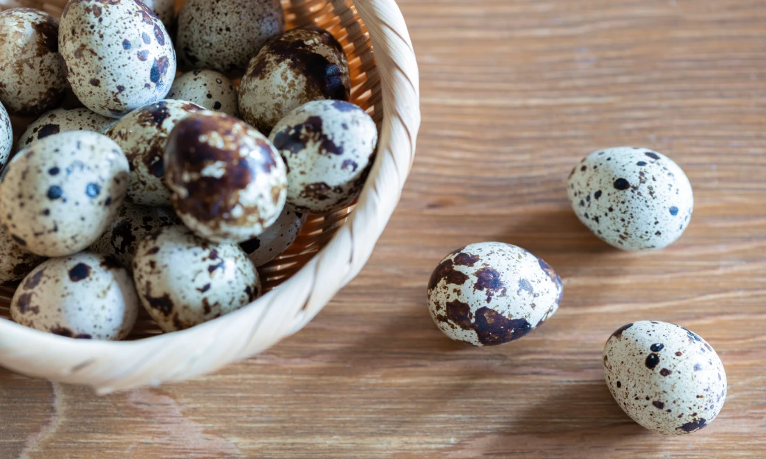 添加物不使用・国産の安心品質