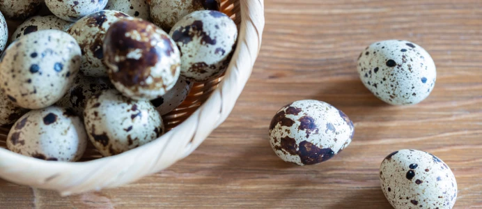 添加物不使用・国産の安心品質