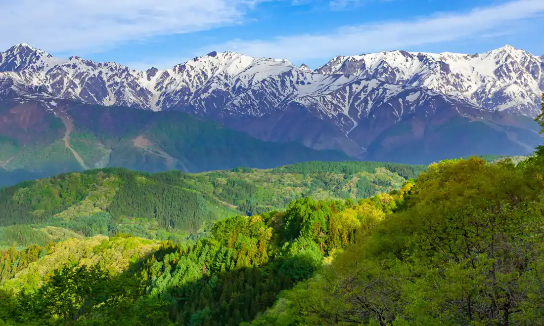 安曇野信州シャモはこんなところで育ちます