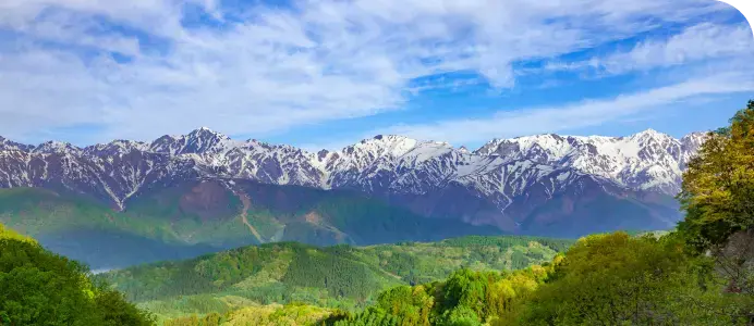 素材の持ち味を活かした丹念なスモーク