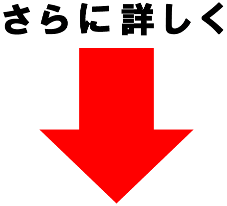 さらに詳しく